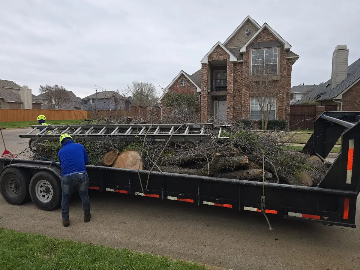 Expert Deadwooding with proper safety equipment in Elk Grove Village